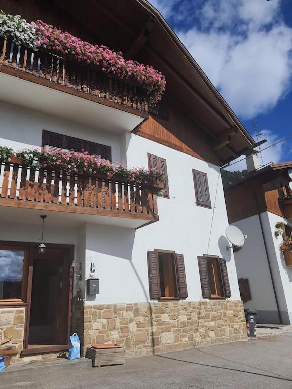 Casa Phoenix Appartamento Piano Terra Immerso Nel Verde A Pochi Minuti Dalla Ciclabile Pieve di Cadore Exteriör bild