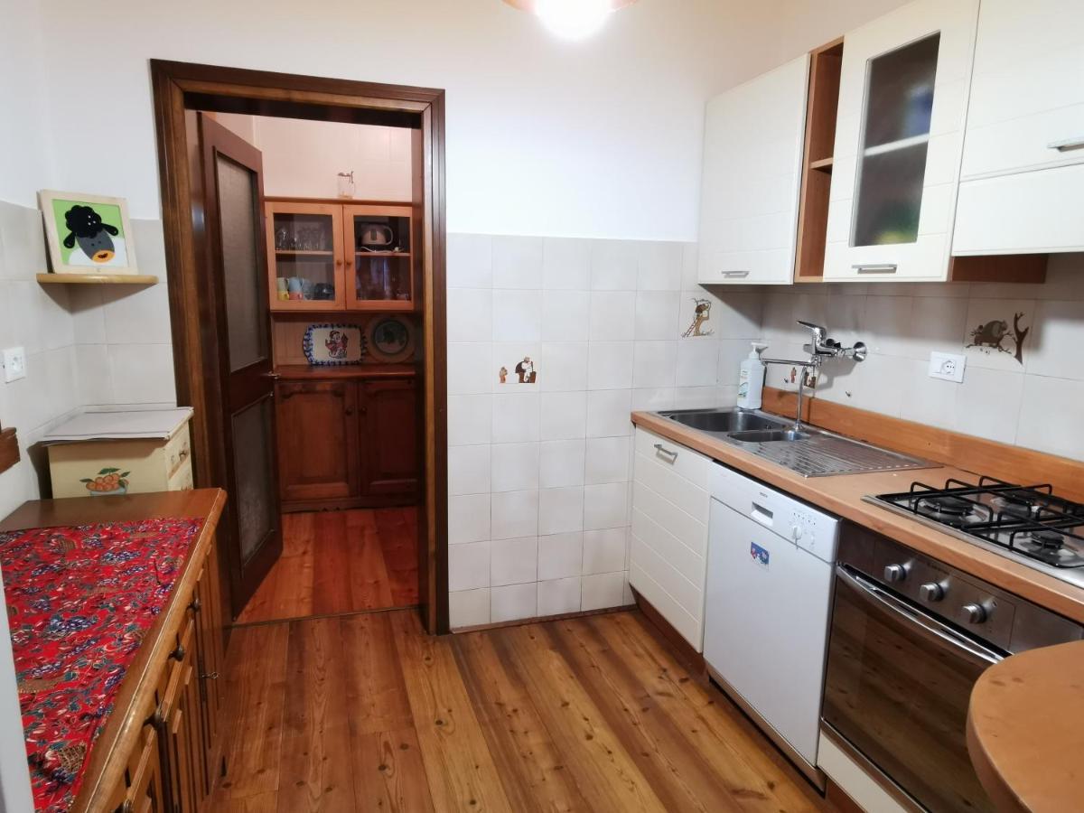 Casa Phoenix Appartamento Piano Terra Immerso Nel Verde A Pochi Minuti Dalla Ciclabile Pieve di Cadore Exteriör bild